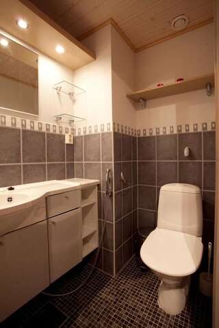 Дома для отпуска Levi President Mountain Chalets Леви Апартаменты с сауной-10