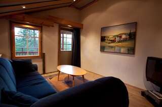 Дома для отпуска Levi President Mountain Chalets Леви Апартаменты с сауной-21